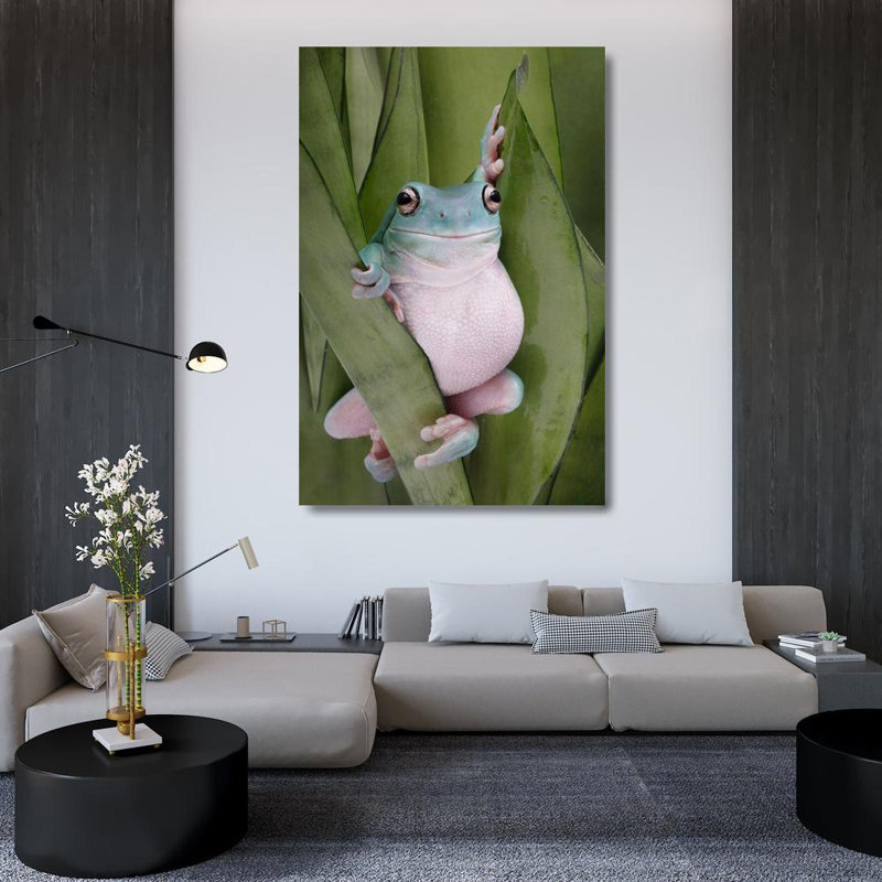 Lark Manor™ D Lester, Linda Gallery Wrapped Canvas Art Titled: A Whites Tree Frogs Pose, 48" H x 33" W