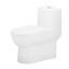 Dual Flush One Piece Toilet