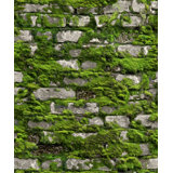 Bricks and More Collection Mossy Stone Wall Wallpaper Roll