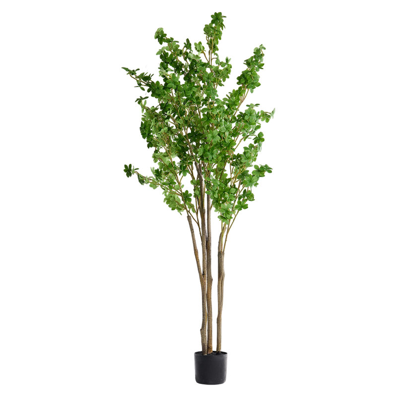 Faux Bonsai Tree in Pot, 210cm H x 75xm W x 75cm D