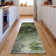 Premium Machine Washable Cerrito AMF590 Green Rug