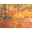 Autumn Reflection In Pond Print-65780889-65858872-92903881