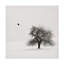 Bolog Lena Weisbek Old Cherry Tree Canvas Art-93222682