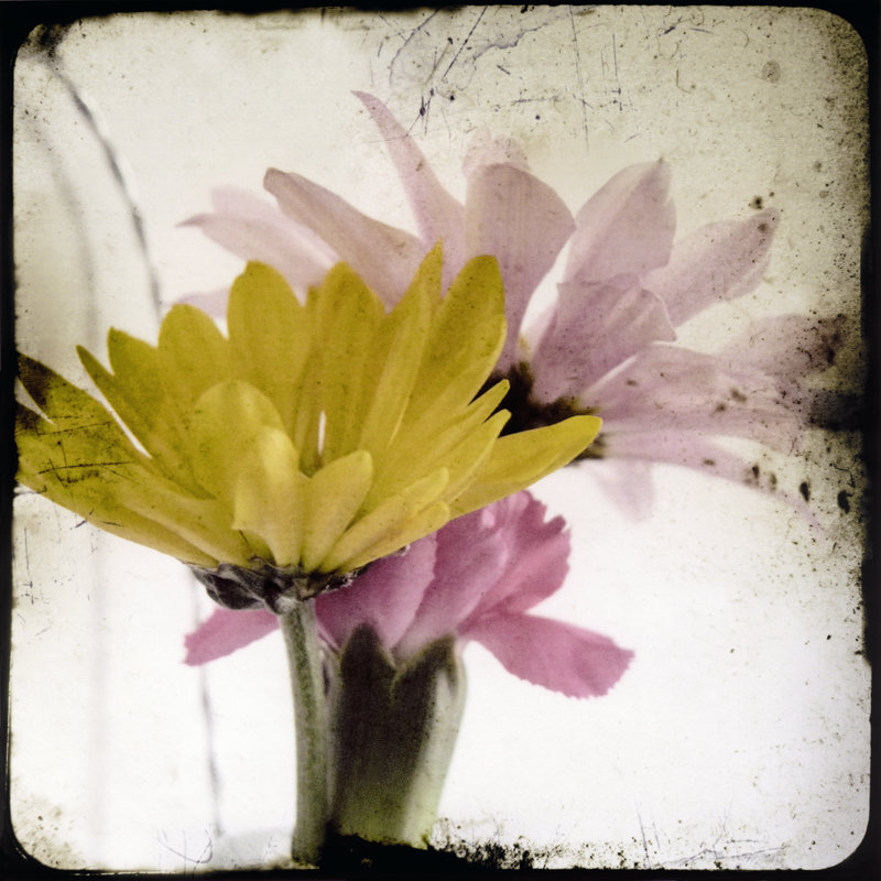 Summer Memory I - Wrapped Canvas Painting, 30cm H x 30cm W x 3.8cm D