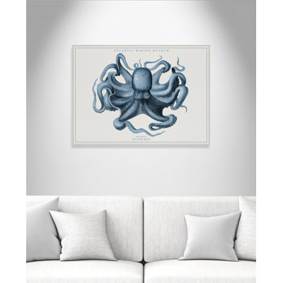 Octopus II, Atlantic Marine Museum