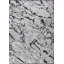 Rapture Gray/Black Abstract Luxury Area Rug-68901028