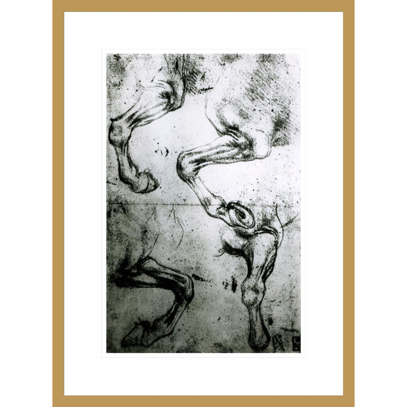 Études de pieds de cheval par Leonardo Da Vinci - Impression sur toile, H 21,75 po x l 16,16 po