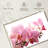 Harnek Dreamy Violet Orchids-108906075