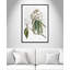 «Pearly Beauty II» par Eva Watts-129313462-129313469-129313487