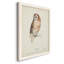 Toile encadrée de qualité supérieure Tawny Owl - prête à être accrochée-141755257-141755256