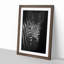 Zebra in the Shadows in Abstract - Picture Frame Graphic Art Print-55774143-55774146