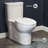 Sublime One-Piece Elongated Toilet Dual-Flush 1.1/1.6 gpf-2035471276-2035471279
