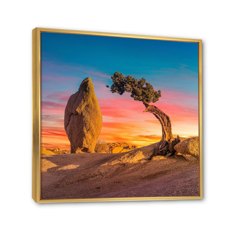«Solitude Tree On Arkansas Desert», reproduction sur toile, H 12 po x l 20 po x P 1 po, Cadre flottant doré