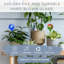 Piquets à globe d'intérieur / extérieur-1095629469