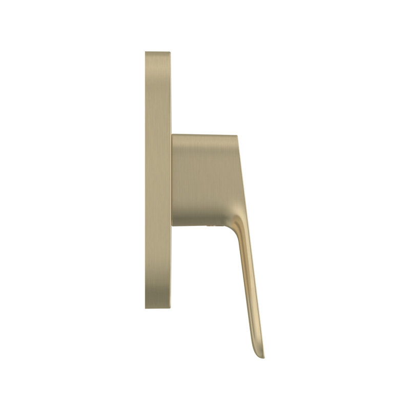 Cubeo 2-Way Diverter Trim