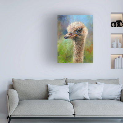 David Stribbling Ostrich Canvas Art
