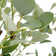 66'' Faux Eucalyptus Plant in Planter