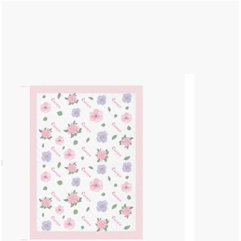 Tapis pour chien (ensemble de 10)