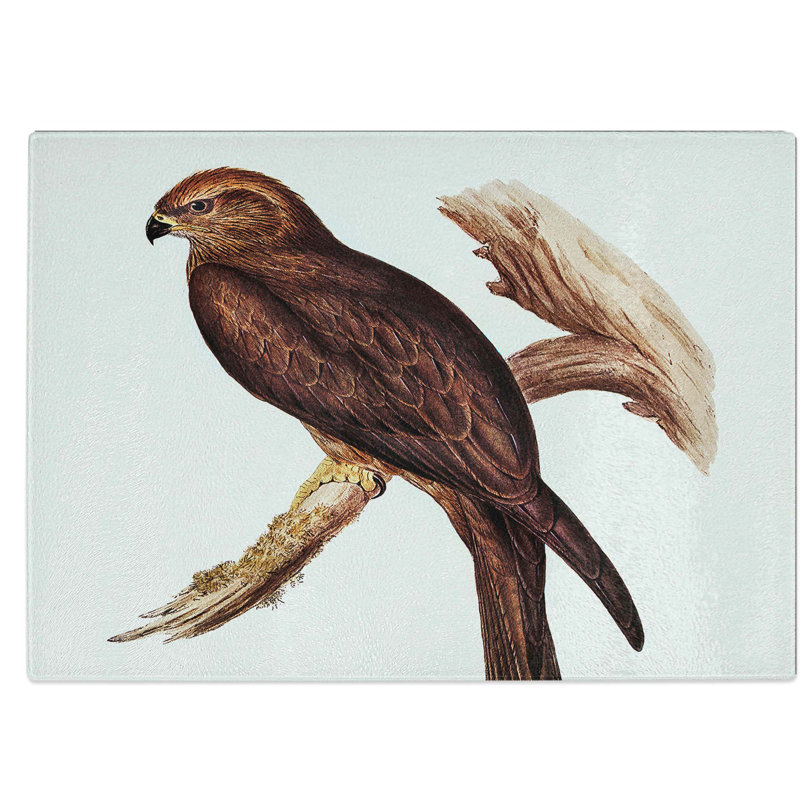 Tempered Glass Allied Kite Chopping Board, 28.5 cm W x 20 cm L