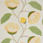 Celinda Embroidery Fabric-50800585