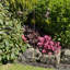 Animals Metal Garden Statue