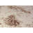 Transitional Turkish Area Rug 10x13