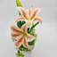 Nevaeha Table Vase-1467635757-1467635756