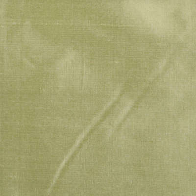 Cypress Dupioni Fabric