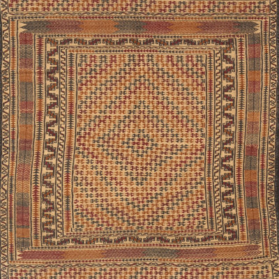 Oriental Indoor Rug