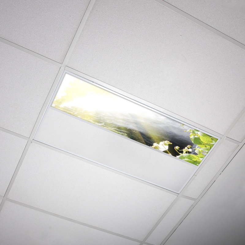 Waterfall Rectangle Fixture Component Ceiling Light