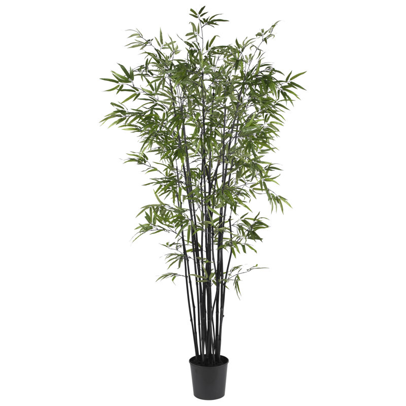 Bamboo Tree with Leaves