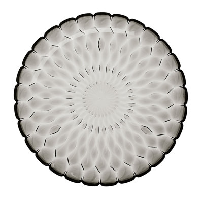 Jelly Acrylic Dinner Plate
