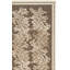 Tapis floral beige / brun Plume-21412187