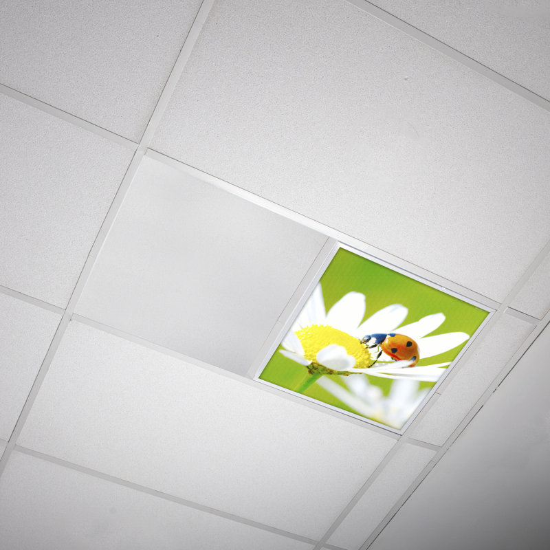 Flower Square Fixture Component Ceiling Light