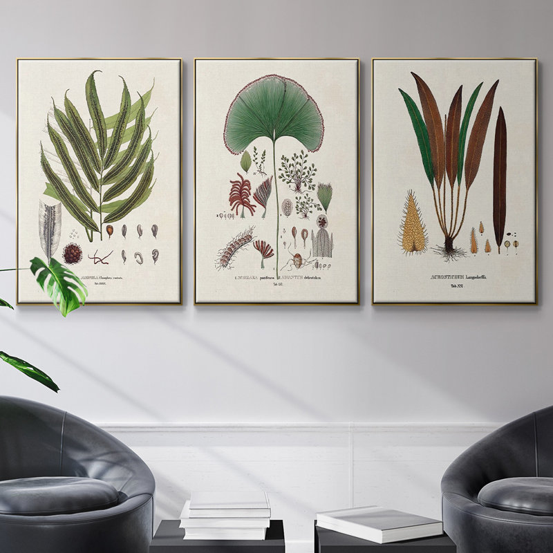 Botanical Society Ferns I, reproduction d'art encadrée sur toile 3 pièces, H 36 po x l 72 po x P 2 po, Or