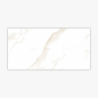 12" x 24" Porcelain Stone Look Wall & Floor Tile