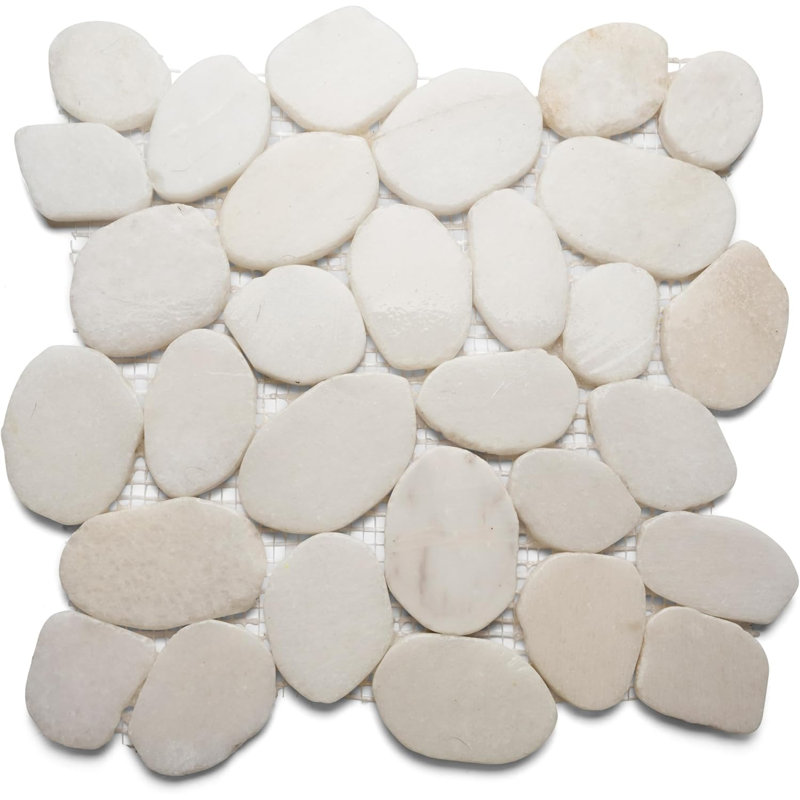Carrelage en cailloux géant 12 po x 12 po CNK Tile