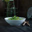 Cecil Shallow 4.5 Qt Serving Bowl