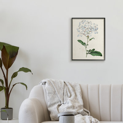 " Rustic Garden Floral Study Charming White Blossoms " Graphic Art Print