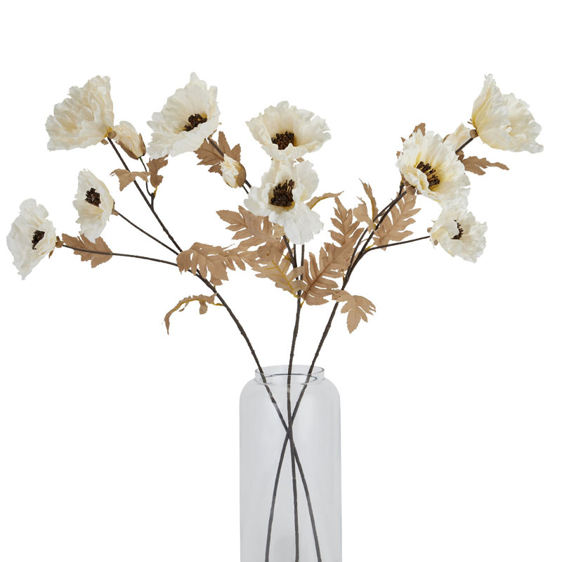 Anastasija Arrangement