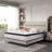 12" Queen Mattress With Cooling Foam, Pocket Coils, And Edge Support-1457351120