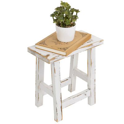 Lumsdom Tabletop Solid Wood Plant Stand