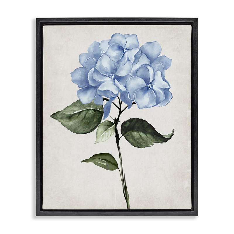 "Blue Hydrangea Stem", art mural Val Val, H 31 po x l 25 po, Cadre flottant noir de jais
