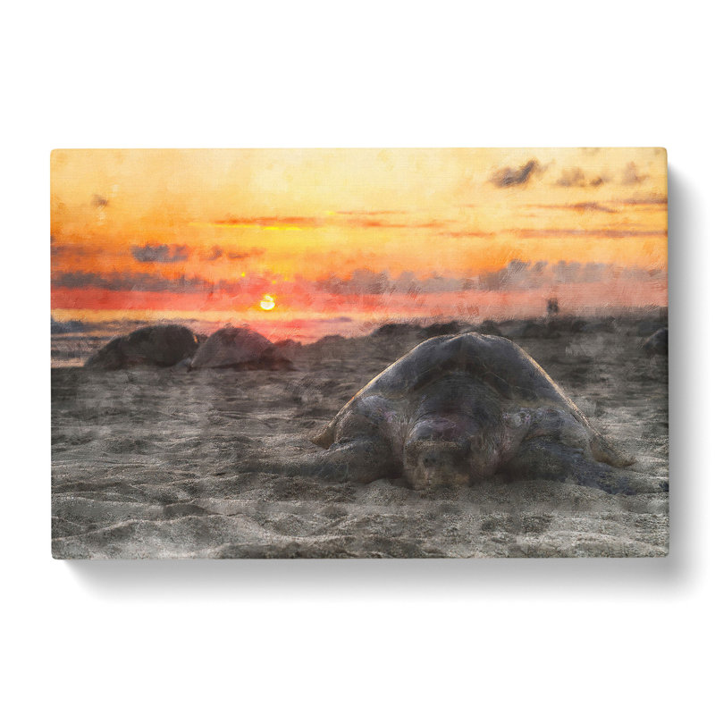 Turtle Beach - Wrapped Canvas, 35cm H x 50cm W x 3cm D