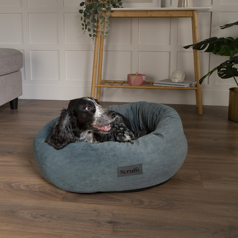 Polyester Pet Bed, Teal, Extra Large (32-40kg)