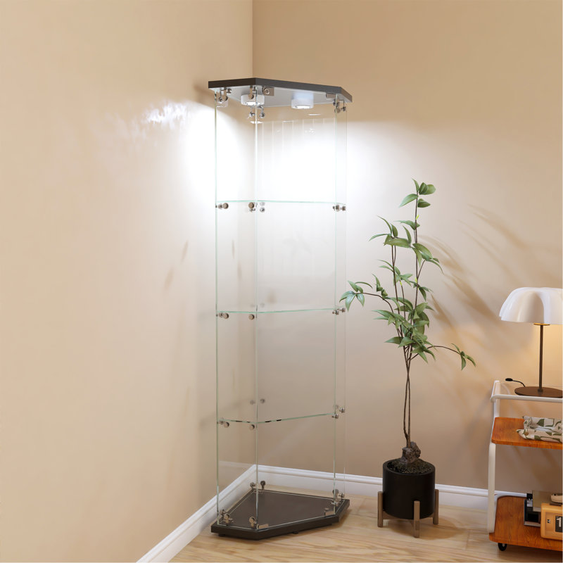 Armoire de coin éclairée, 4 tablettes vitrées avec une porte
