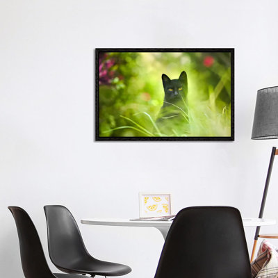 Black Cat 1 Piece Wall Art on Canvas