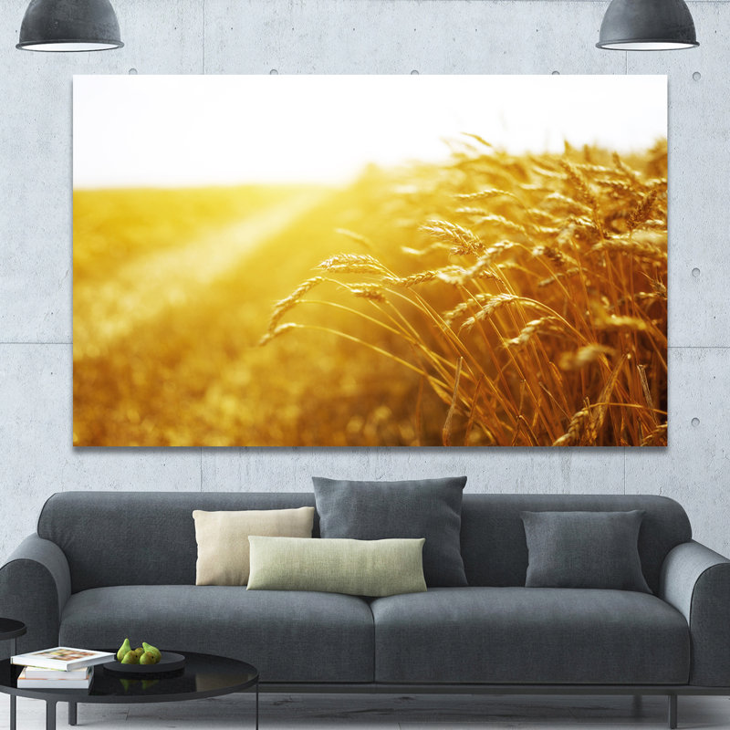 Reproduction de photo sur toile tendue, "brillance du soleil par rapport au blé", H 20 po x l 20 po x P 1 po