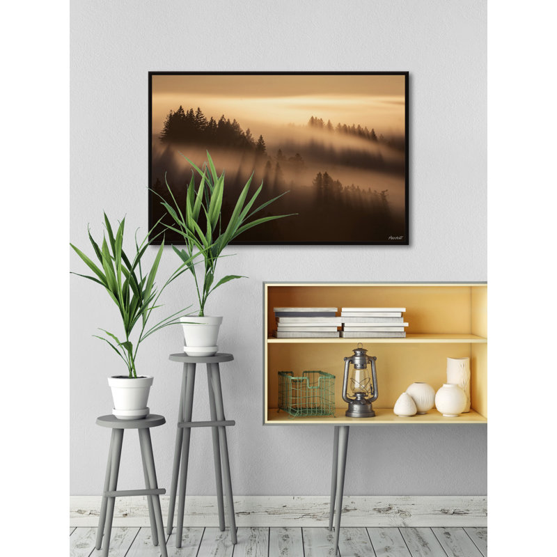 «Forest Shadows», reproduction encadrée, Cadre flottant noir, L 18 po x H 12 po