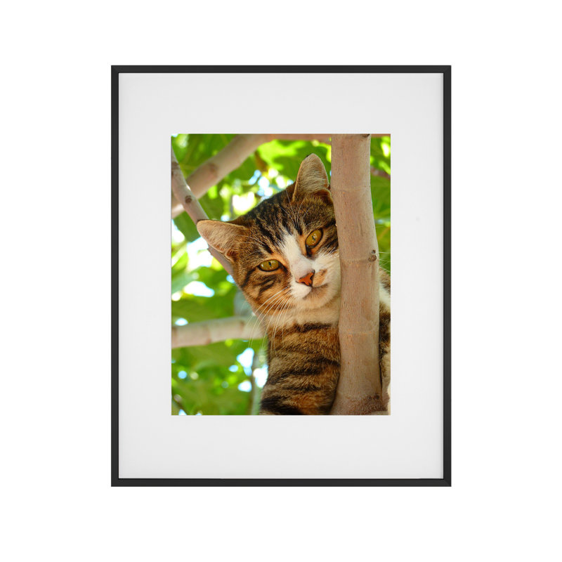 Cadre photo, Noir